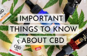 How To Use CBD Oil For Hair