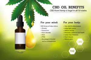 What Are the Benefits Of Hemp Oil