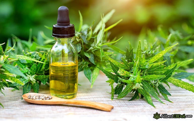 What Does CBD Oil Do For Your Hair